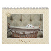 Frettenkalender - 4 - - kalender (Hoes)