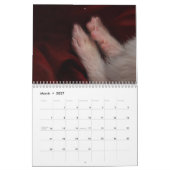 Frettenkalender - 4 - - kalender (Mar 2027)