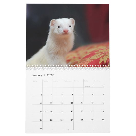 Frettenkalender - 4 - - kalender (Jan 2027)