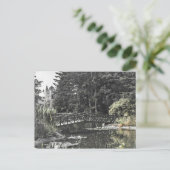 Friar Park Briefkaart #14 (Staand voorkant)