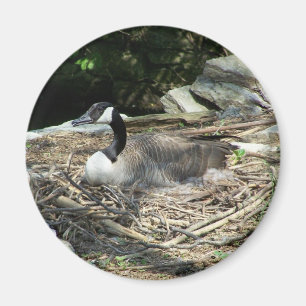 "Fridge Goose Magnet Magneet