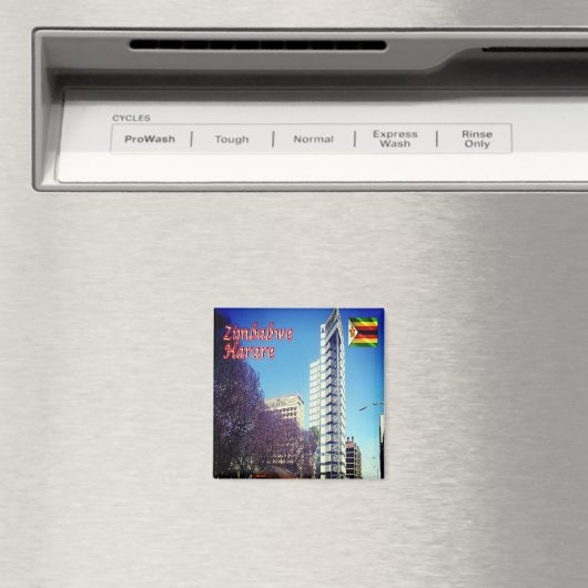 Fridge Magneet (Insitu (Vaatwasser))