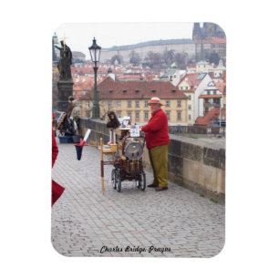 Fridge Magnet, Charles Bridge Prague Magneet