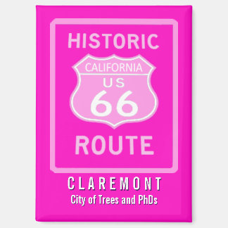 Fridge Magnet Magneet