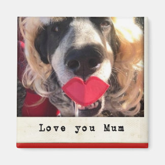 Fridge magnet magneet