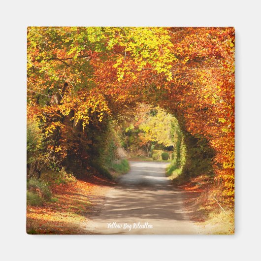 Fridge Magnet Yellow Bog Kilcullen Magneet (Voorkant)