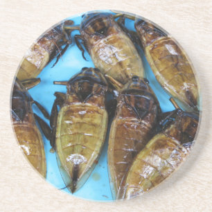 Fried Giant Water Bug (Maeng Daa) ... Aziatische l Zandsteen Onderzetter