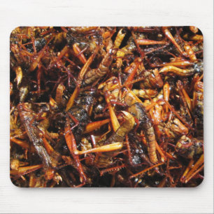 Fried Grasshopper (Takkataen Thot) Asian Food Muismat