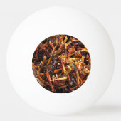 Fried Grasshopper (Takkataen Thot) Asian Food Pingpongballen (Achterkant)