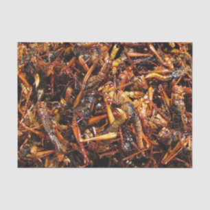 Fried Grasshopper (Takkataen Thot) Asian Food Tissuepapier