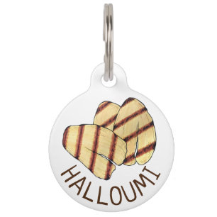 Fried Halloumi Cypriot Haloumi Cheese Food Huisdierpenning