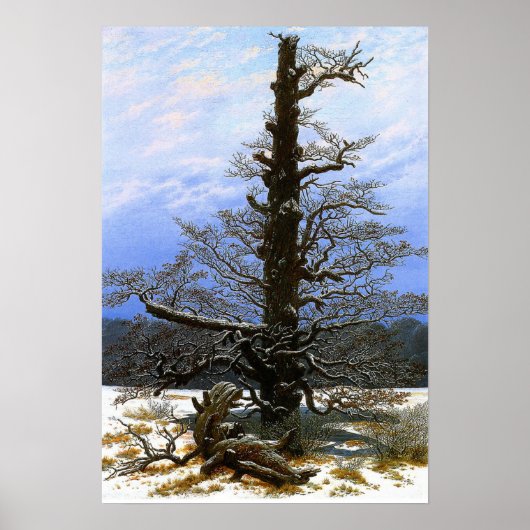 Friedrich - Eik in de sneeuw Poster (Voorkant)