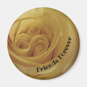 Friend Forever Friendship Yellow Rose Foto Flower Magneet