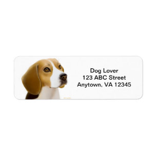 Friendly Beagle Dog Etiket