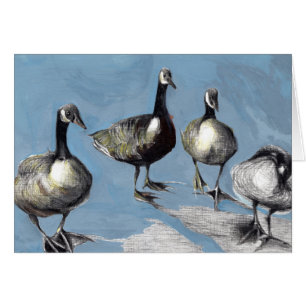 Friendly Canada Geese 2012