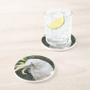 Friendly Cockato Parrot Bird Waves op Paparazzi Zandsteen Onderzetter