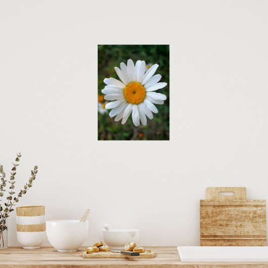 Friendly Daisy Poster (Keuken)