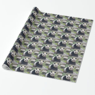 Friendly Giant Panda Cadeaupapier