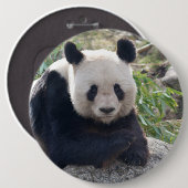 Friendly Giant Panda Ronde Button 6,0 Cm (Voorkant /achterkant)