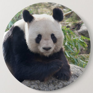 Friendly Giant Panda Ronde Button 6,0 Cm