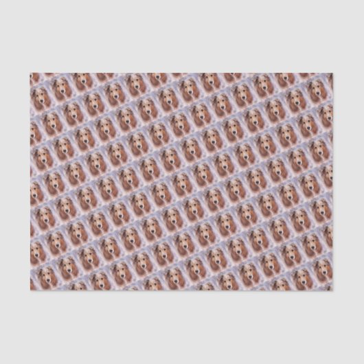 FRIENDLY GOLDEN COLLIE TISSUEPAPIER (Voorkant)