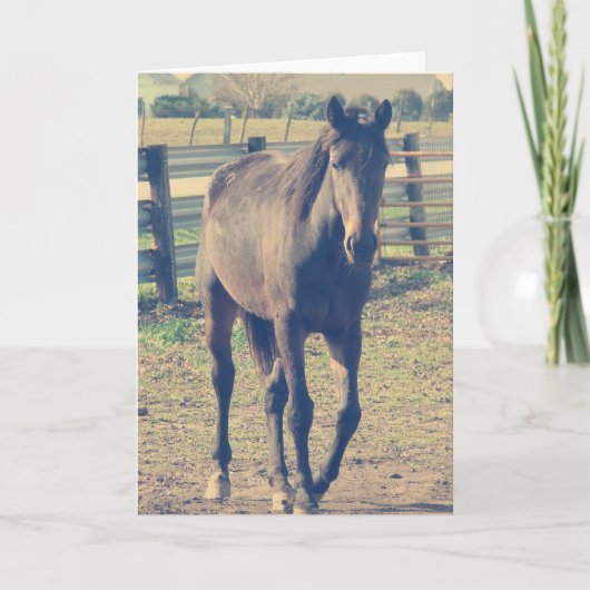 Friendly Horse Kaart (Voorkant)