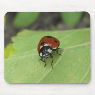 Friendly Ladybug Muismat