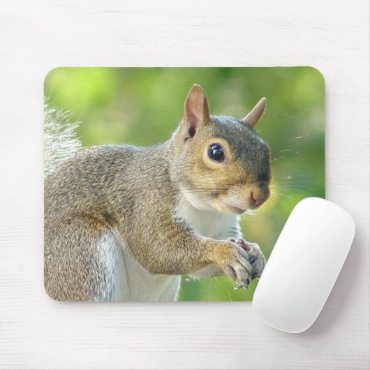 Friendly Little Squirrel Mousepad Muismat (Met muis)