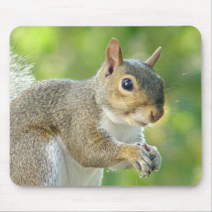 Friendly Little Squirrel Mousepad Muismat