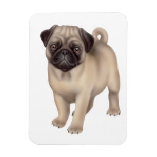 Friendly Pug Dog Premium Magnet Magneet