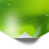 Friendly Seal Foto Afdruk (Hoek)