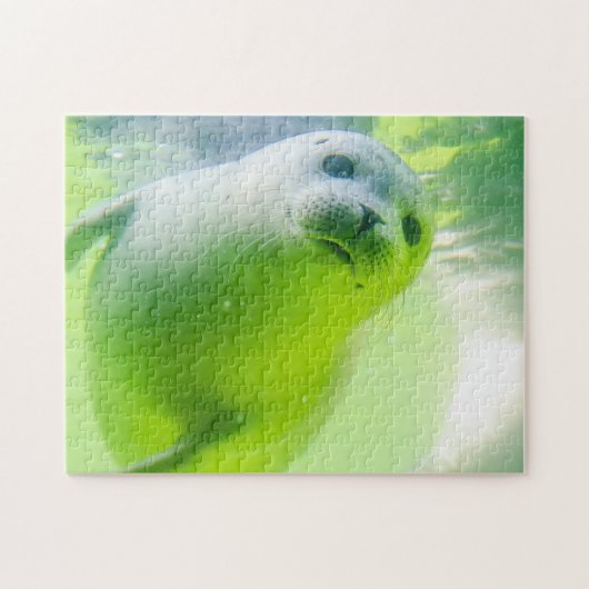 Friendly Seal Legpuzzel (Horizontaal)