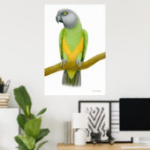 Friendly Senegal Parrot Print (Thuiskantoor)