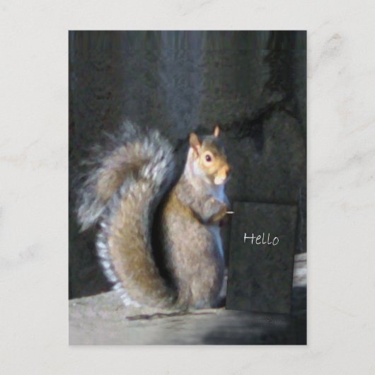 Friendly Squirrel Briefkaart (Voorkant)