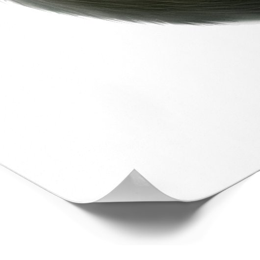 Friendly Tabby Cat Print (Hoek)