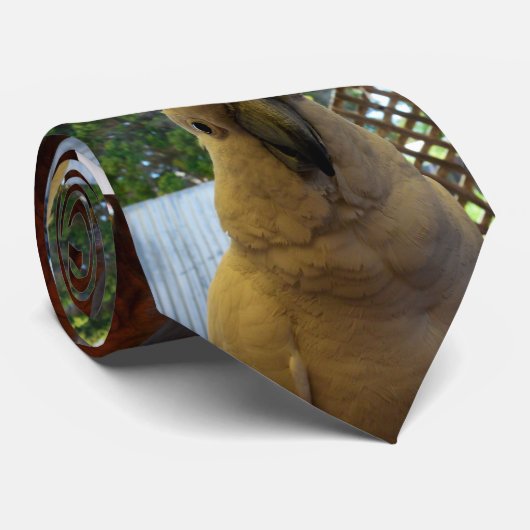 Friendly White Aussie Cockatau, Stropdas (Opgerold)