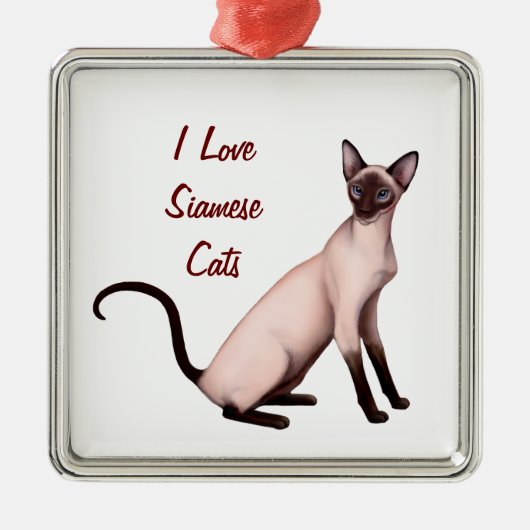 Friendly Young Siamese Cat  Ornament (Voorkant)