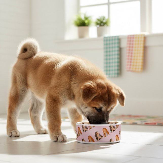Friends Bowl Voerbakje (Creator heeft geüpload)