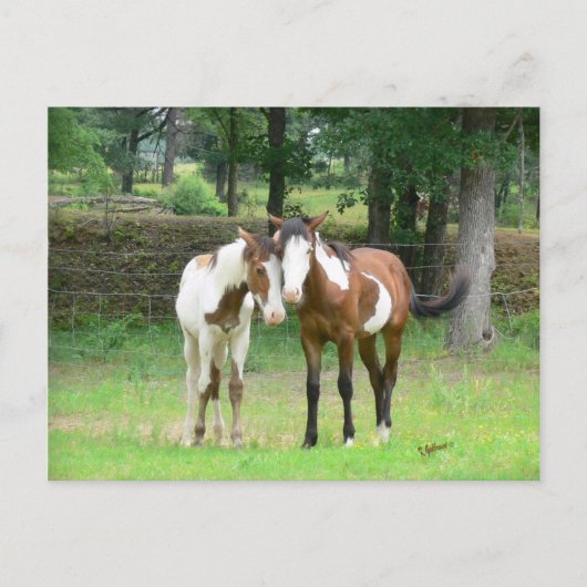 Friends Briefkaart (Voorkant)