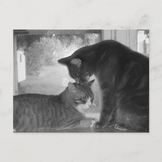 Friends Briefkaart (Voorkant)