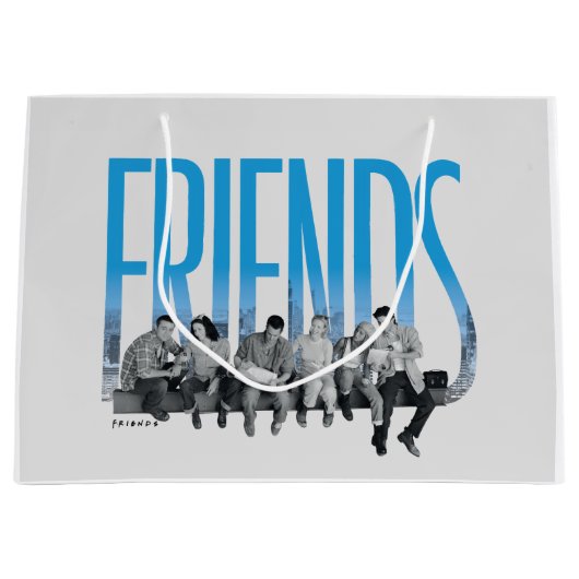 FRIENDS™ | De bende Groot Cadeauzakje (Voorkant)