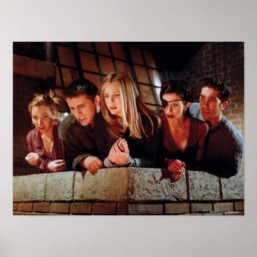 FRIENDS™ | De gang op de Balcony Poster (Voorkant)