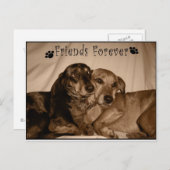 Friends Forever Briefkaart (Voorkant / Achterkant)