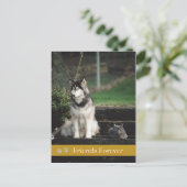 Friends Forever - carte postale chien & chat (Debout devant)