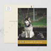 Friends Forever - carte postale chien & chat (Devant / Derrière)