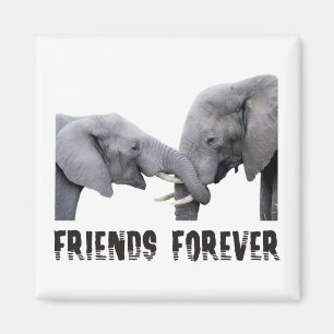 Friends Forever Elephants knuffelen/kussen Magneet