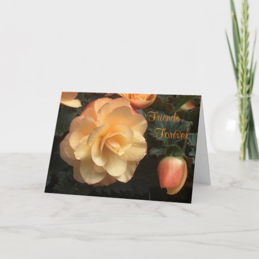 Friends Forever Feestdagen Kaart (Voorkant)
