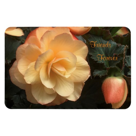 Friends Forever Magneet (Horizontaal)