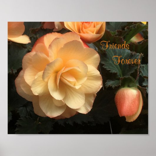 Friends Forever Poster (Voorkant)