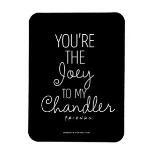 FRIENDS™ Jij bent de Joey voor mijn Chandler Magneet